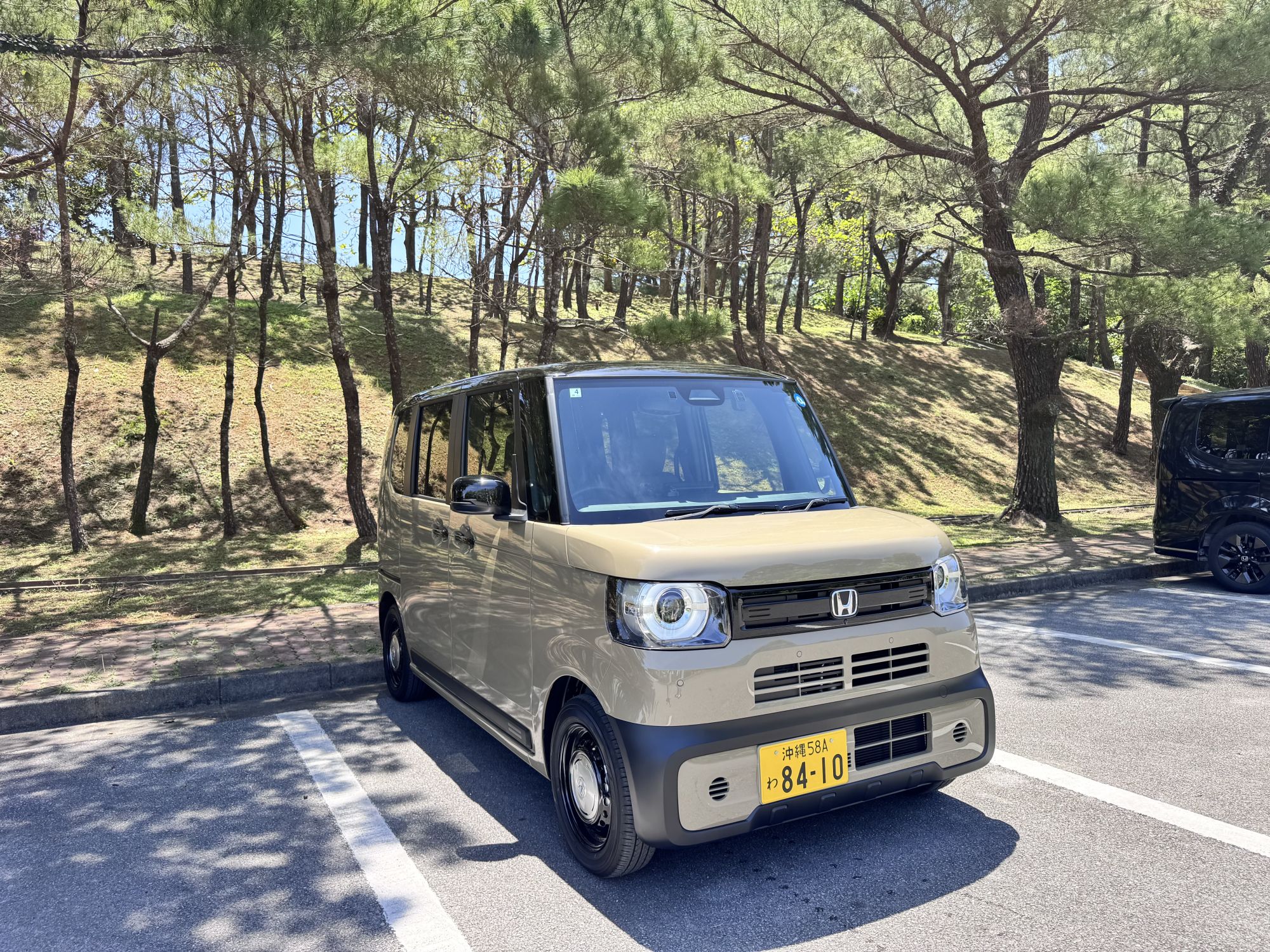 car_picture