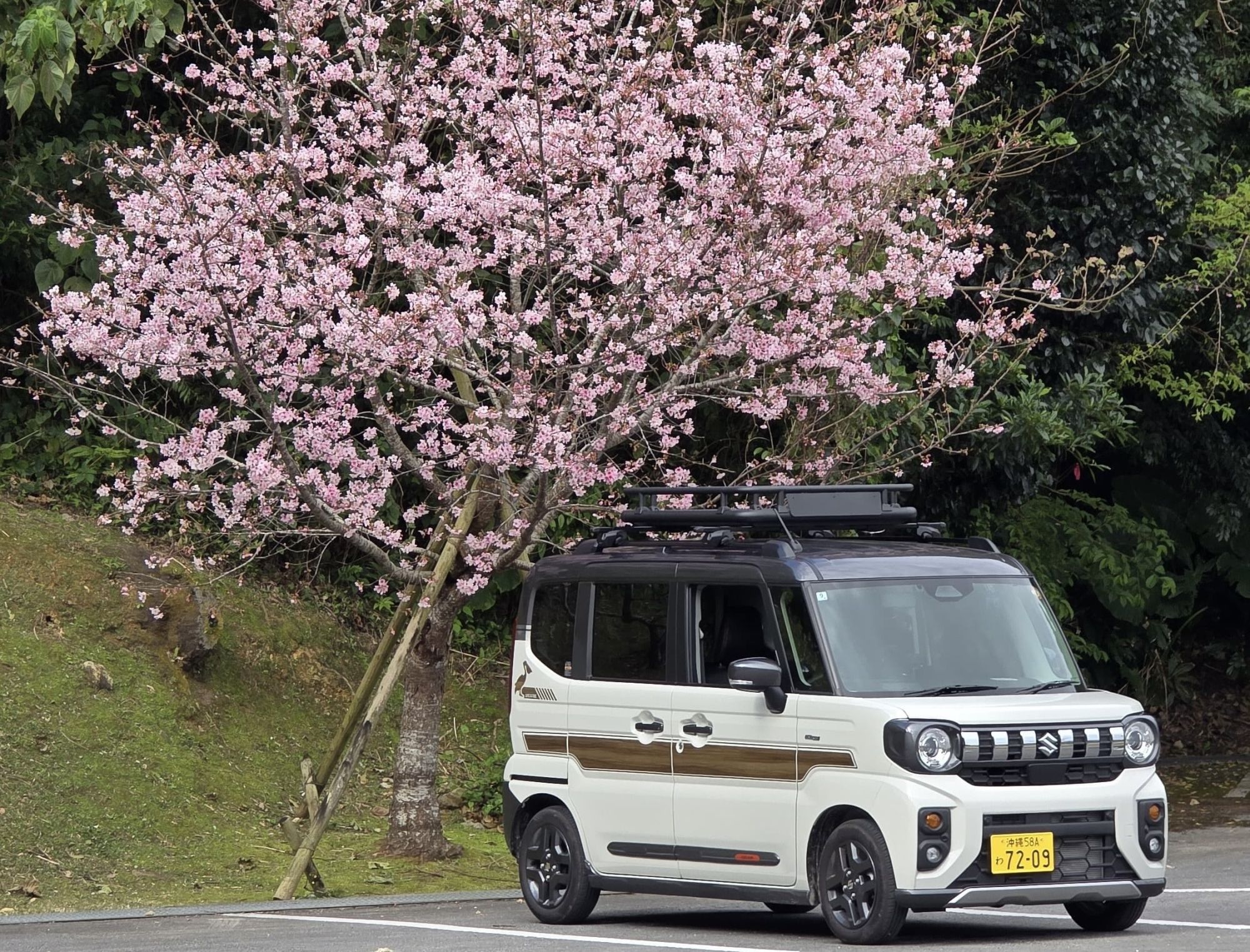 car_picture