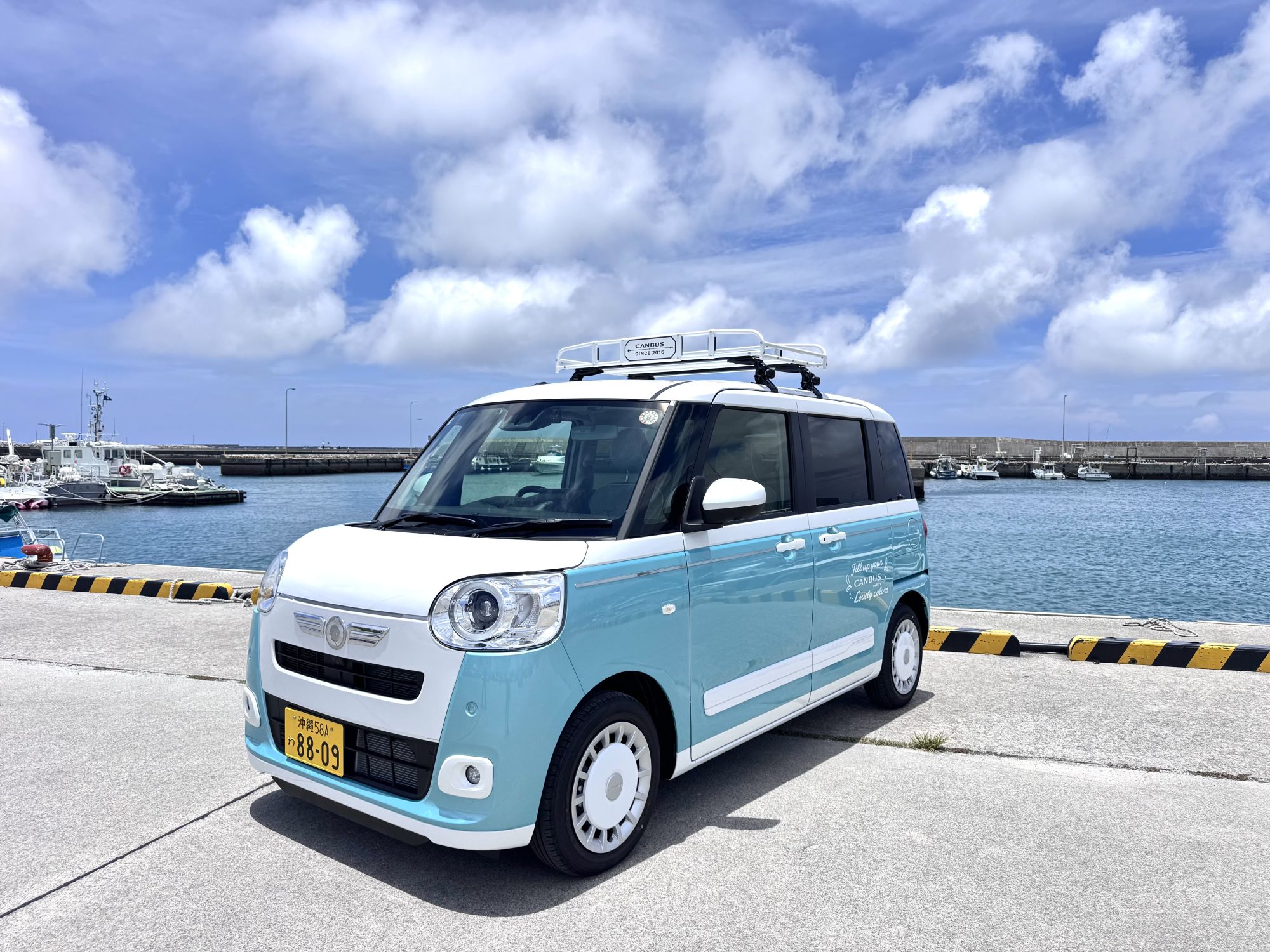 car_picture